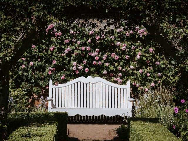 tuin